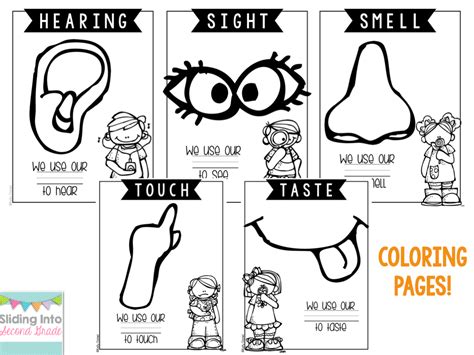sliding   grade updated  senses packet coloring pages
