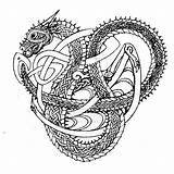 Celtic Dragon Coloring Pages Drawing Old Getcolorings Getdrawings Printable sketch template
