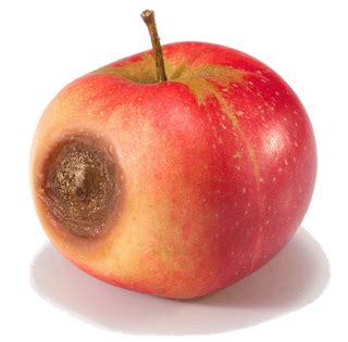 rid    bad apple   life