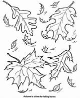 Leaf Coloring Fall Pages Autumn Colouring sketch template