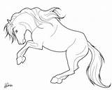 Coloring Horses Kids Horse Pages Saluting Simple Printable Color sketch template
