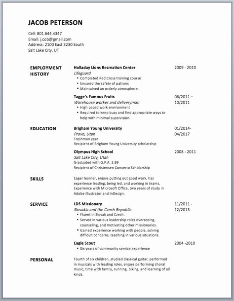 resume templates  bullet points teanagasawaa