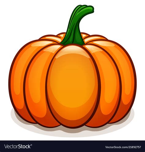 pumpkin  white background royalty  vector image