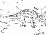 Ankylosaurus Herbivorous sketch template