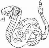 Rattlesnake Coloring Pages Angry Snake Printable Rattle Snakes Categories Cartoon sketch template