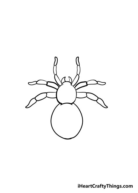 spider drawing  kids