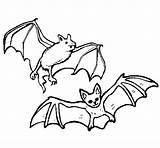 Bats Coloring Pair Halloween Coloringcrew sketch template