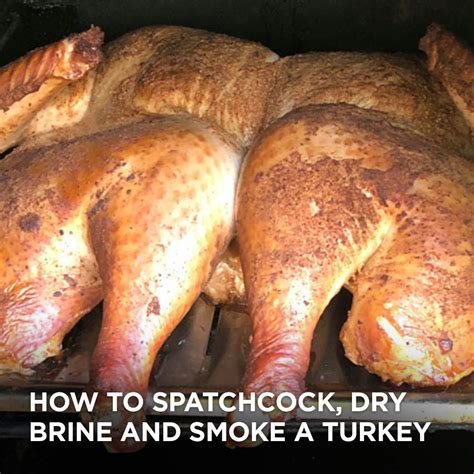How To Spatchcock A Turkey With Stacy Lyn Harris This Is Part Of The