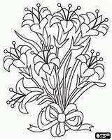 Gaillardia Coloring Designlooter Bouquet Line Search Google sketch template