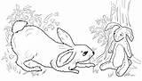 Rabbit Velveteen Coloring Becoming Real Pages Supercoloring Categories sketch template