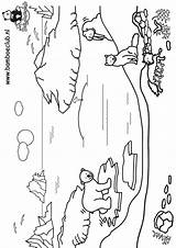 Noordpool Ijsbeer Wnf Beren Bestelcode sketch template
