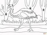 Emu Categories sketch template