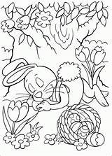 Coloring Pages Easter Cottontail Peter Colouring Unicorn Omalovánky Printable Bunny Kids Sheets Spring Adult Printables Kleurplaten Books Unicorns Popular Pâques sketch template