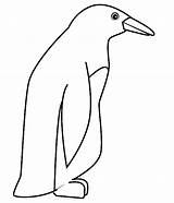 Penguin Coloring sketch template