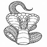 Coloring Cobra Snake Pages King Drawing Deadly Realistic Ninjago Attack Color Rattlesnake Kai Serpentine Viper Printable Animal Head Diamondback Kids sketch template