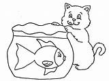Fish Cat Coloring Tank Catch Try Netart sketch template