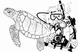 Scuba Diver Turtle Sea Coloring Pages Printable Green Drawing Navy Sketch Diving Color Life Drawings Clipart Turtles sketch template