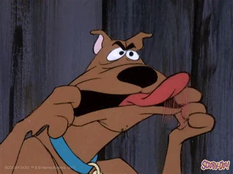 Funny Face No  By Scooby Doo Find And Share On Giphy