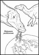 Maiasaura Pages Template Coloring sketch template