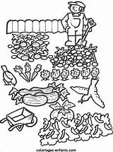 Potager Ferme Legumes Coloriages Enfants Printemps Magique Maternelle Buzz2000 sketch template