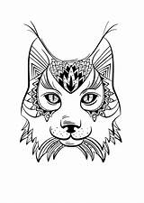 Lynx Sauvages Beau Meilleur Benjaminpech sketch template
