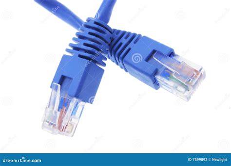 network cable stock photo image  network component