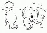 Coloring Elephant Piggie Pages Popular sketch template