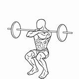 Squat Front Exercise Placing Muscles Rear Weight Same Works Without Bar sketch template
