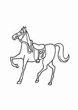 Rennpferd Pferde Ausmalbild Ausdrucken sketch template