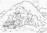Polar Lars Eisbar Ijsbeer Urso Polaire Abenteuer Kleurplaten Lours Ours Animaatjes Malvorlage sketch template