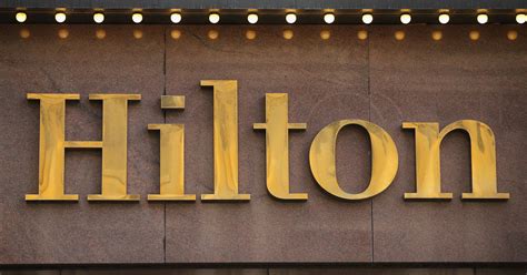 hilton launches   brand