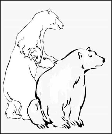 polar bear coloring pages  young children  love   creative