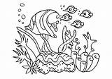 Barrier Animals Corail Easy Printable Underwater Naturaleza Drawn Coloriages Designlooter Getcolorings Ausmalbilder Divyajanani sketch template