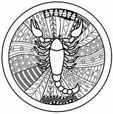 Zodiac Scorpio Sign Vector Sternzeichen Skorpion Coloring Book Auswählen Pinnwand Similar sketch template