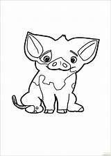 Moana Pua Pig Pages Coloring Cartoons sketch template
