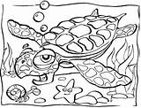Ocean Coloring Pages Ausmalbilder Unterwasserwelt Printable Kids Turtle Monster Animals Choose Board Malen Cartoon sketch template