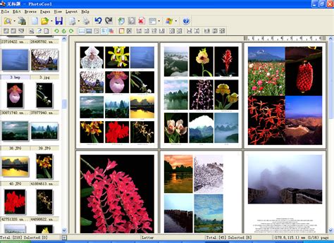 digital photo printing software print  digital