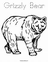 Bear Coloring Grizzly Tracing Built California Usa sketch template