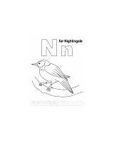 Coloring Nn Letter Printable Pages Nightingale sketch template