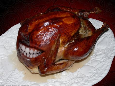 Talkin Turkey Our Thanksgiving Turkey Slightly Modified … Flickr