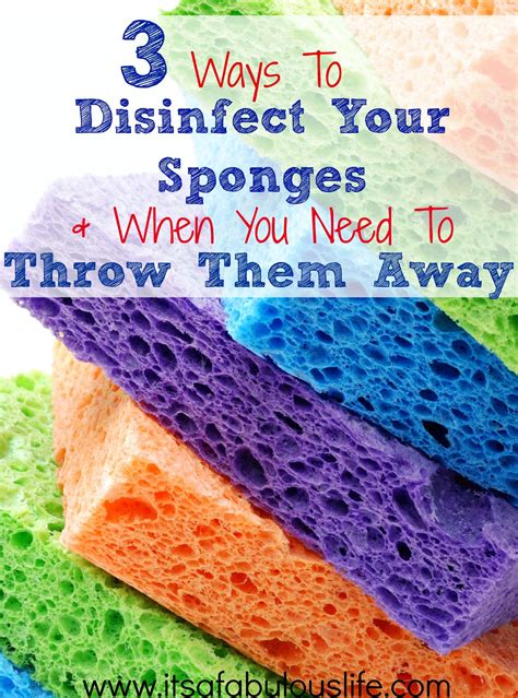 ways  disinfect sponges     throw   good