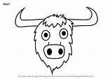 Yak Drawing Kids Draw Face Step Tutorials Learn Paintingvalley Faces Animal sketch template