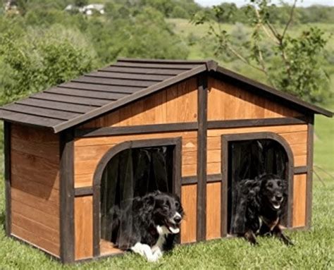 double dog house  dog house   dogs  love doodles