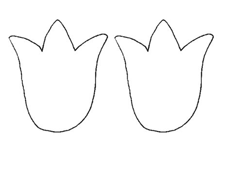 collection  tulip png outline pluspng