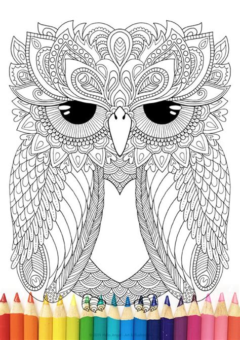 owl colouring  pack adult coloring colouring  owl etsy