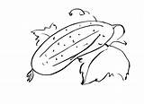 Coloring Pages Cucumber sketch template
