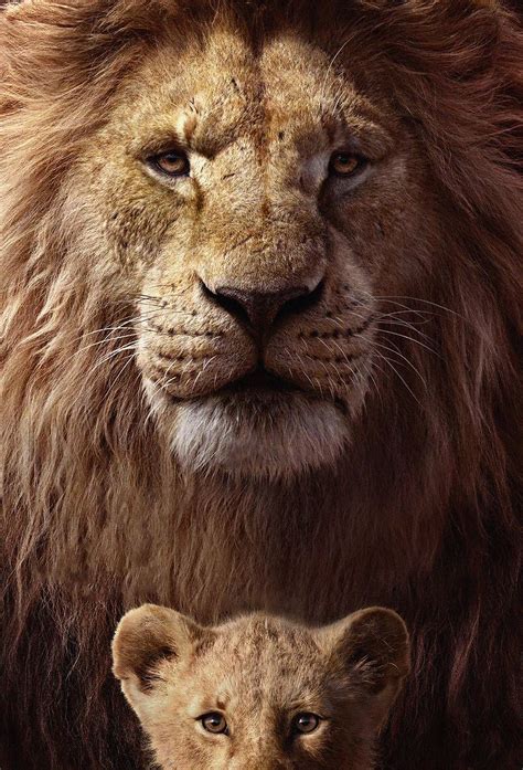 poster   lion king wallpaper hd movies  wallpapers images  background wallpapers den