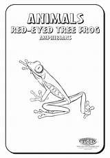 Coloring Frog Tree Red Pages Eyed Choose Board Cool sketch template