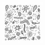 Germs Bilder Ausmalen 30seconds Bacteria Zusammensetzung Vektorillustration sketch template