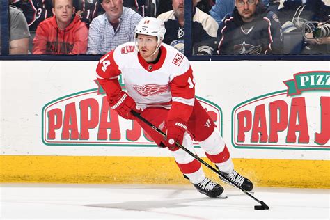 imperative gustav nyquist plays    detroit red wings